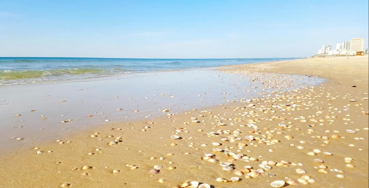 Hotel Apartment Short Term Tel Aviv Bat Yam 353 エクステリア 写真